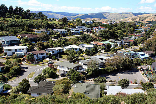 nz1767.jpg