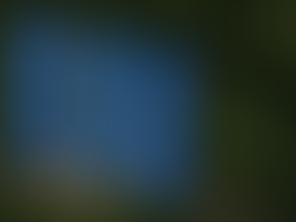 Cómo funciona una central solar: fotovoltaica y termosolar