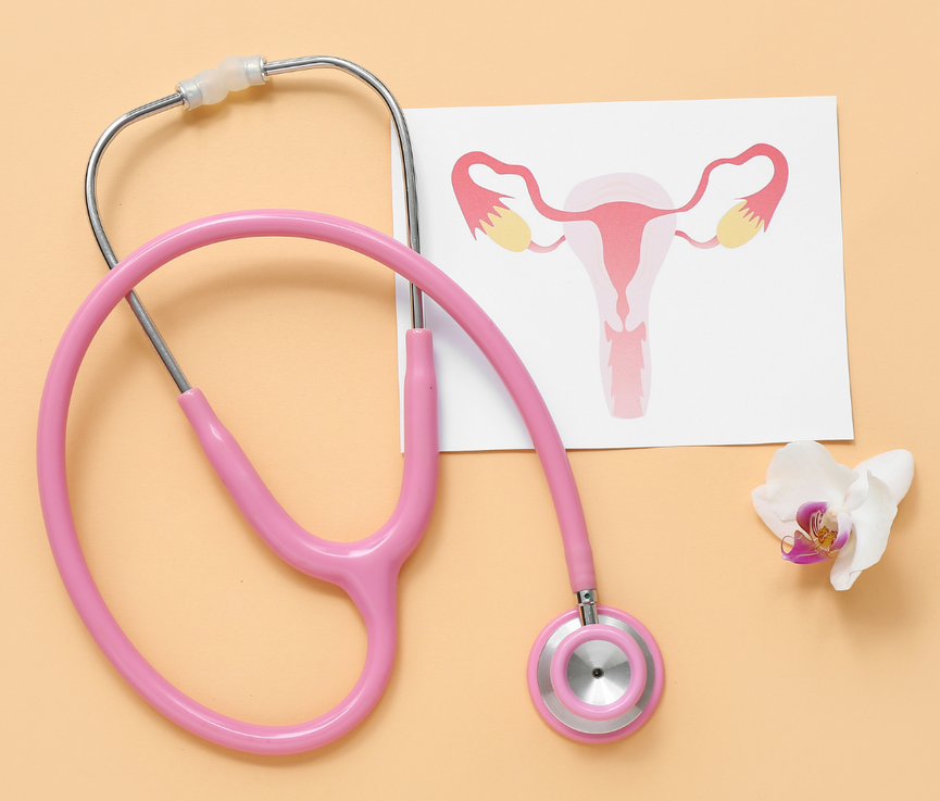 Cuidado preventivo ginecológico: cómo proteger tu salud en cada etapa de la vida