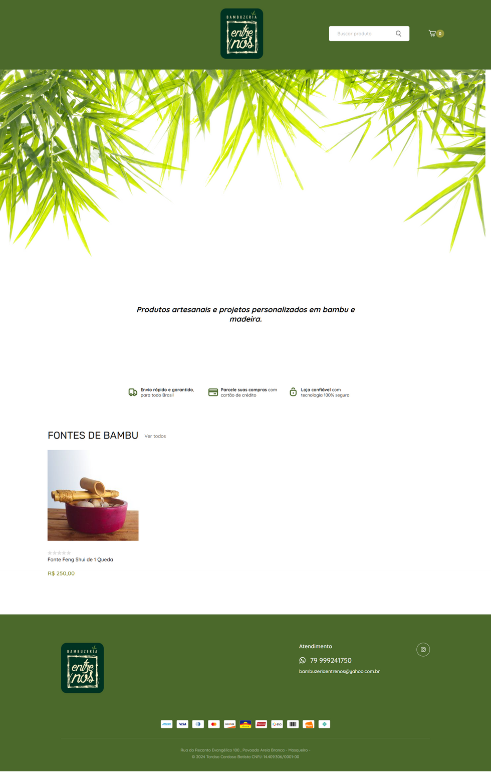 Captura de imagem do site em 12/2022