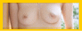 banner88.gif
