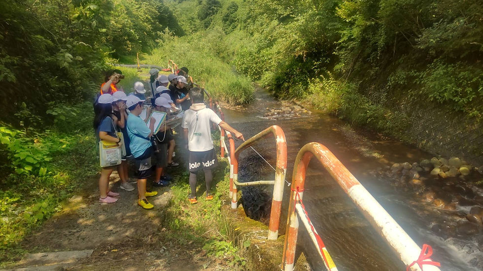 相川川の魚道見学
