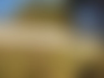 フナを放流 2025.10