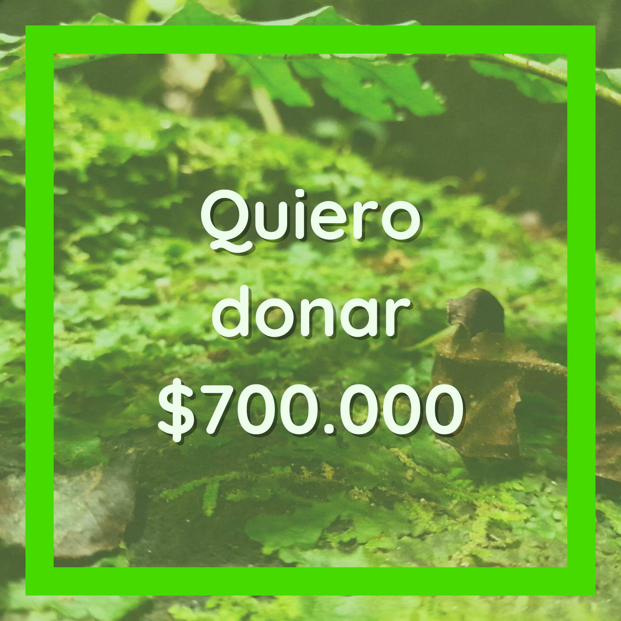 Donación por $700.000 cop