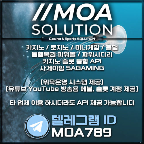 카지노 솔루션