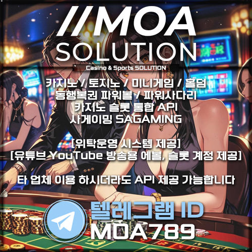 카지노 솔루션