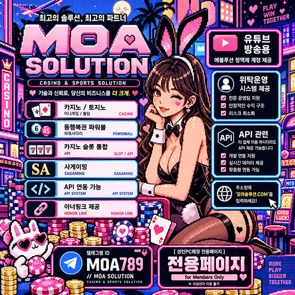 카지노 솔루션