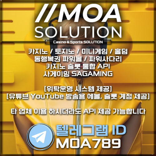 카지노 솔루션