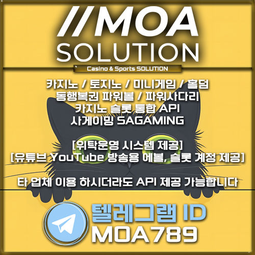 카지노 솔루션
