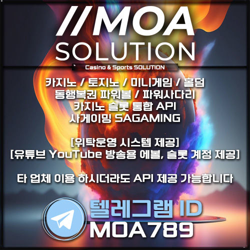 카지노 솔루션
