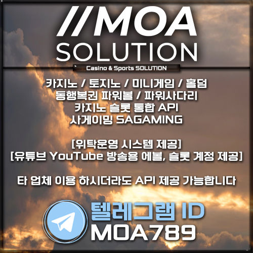 카지노 솔루션