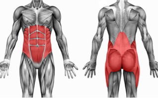 Personal trainer tips: The 'Core' Myth