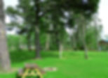 Campground