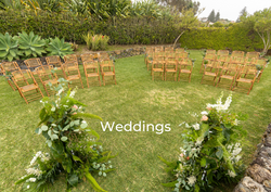 Weddings_2