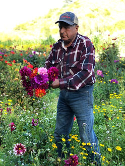 IMG_3800~photo-full_edited.jpg