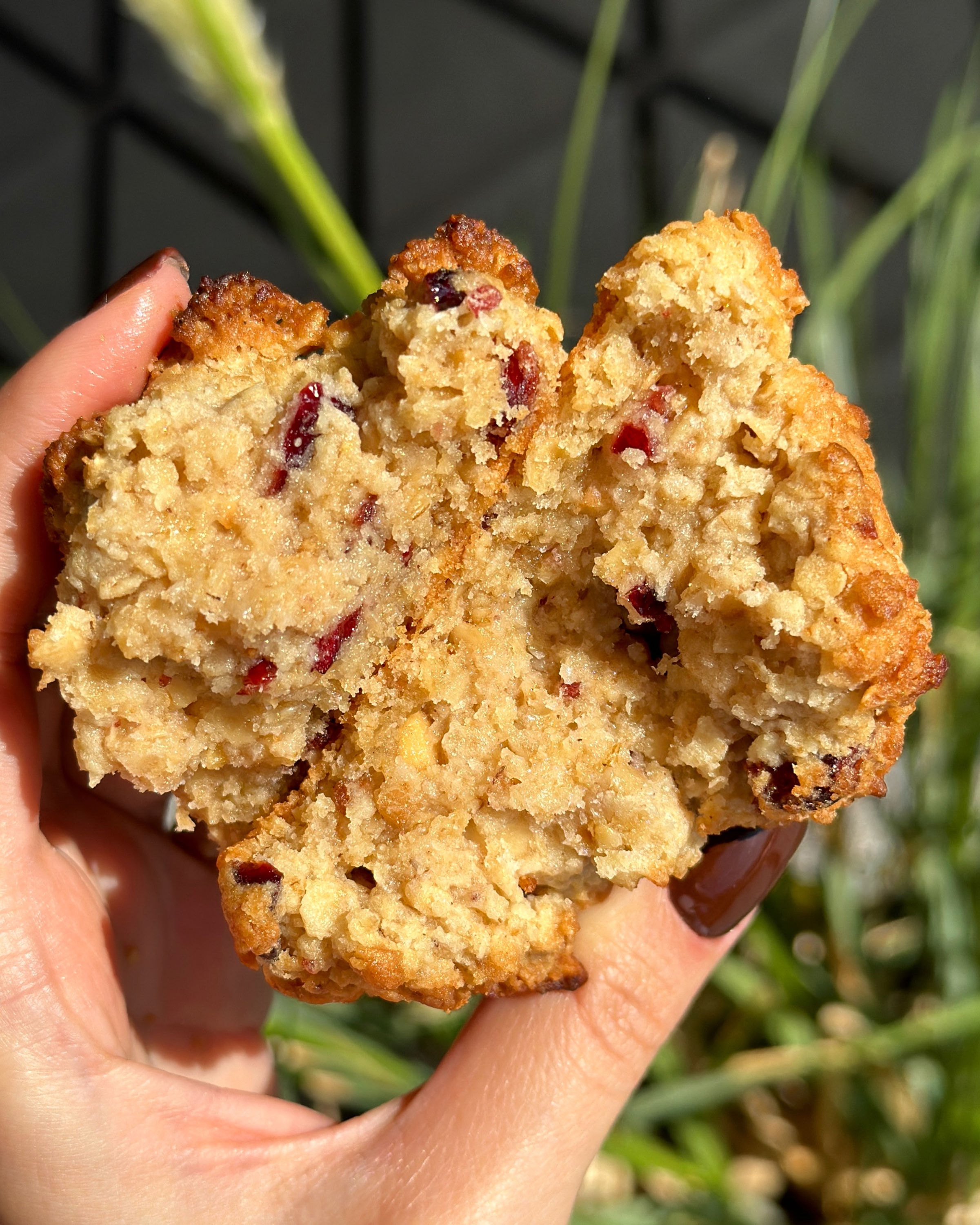 Oatmeal Cranberry Hazelnut Cookie