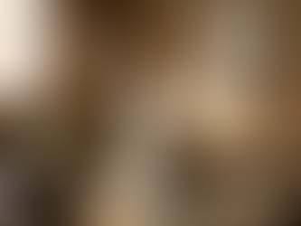 The Mysterious Technique of the Cat and Insight Into High Stakes Conflict in Divorce and Custody Cases