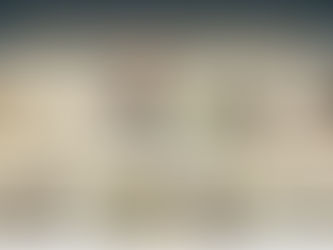 scroll with strategy sages and arguments for missouri best interest of the child