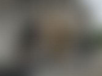 divorce & custody attorney walking out of Jackson County Court with spirit of chinese warrior following