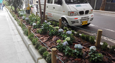 diseño y mantenimiento de zonas erdes y jardines