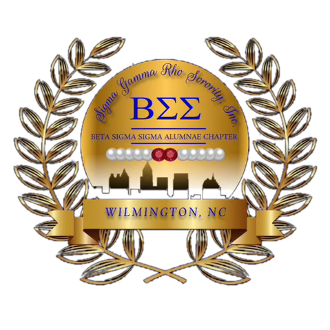 Copy of BSS Logo_edited_edited.jpg
