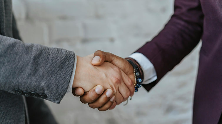 pexels-olia-danilevich-5313361 (1).jpg