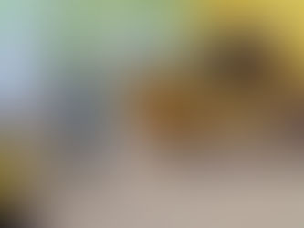 24.11.2020г.Подготовка к викторине "Калейдоскоп спорта".Старшая группа "Кунчээн"