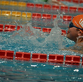 NUOTO NOVARA.jpeg