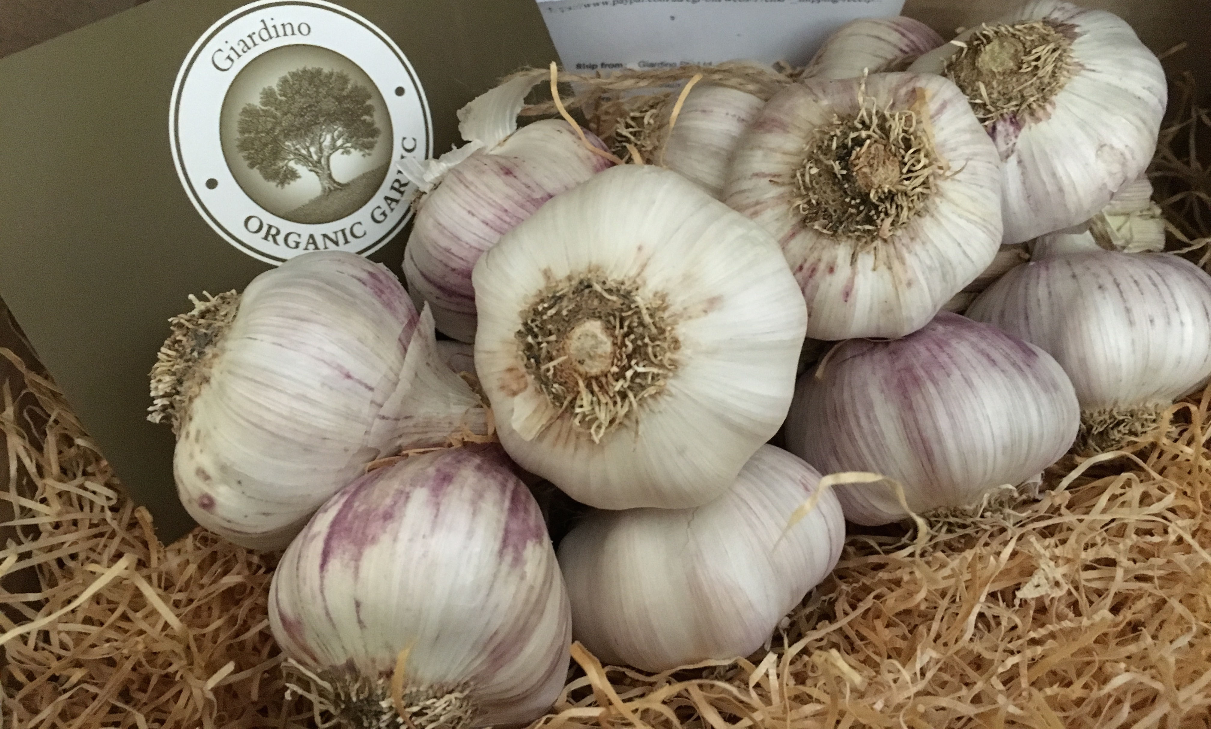 Organic Australian Purple Garlic