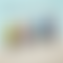 ENDO ™ CBD:THC Seltzers