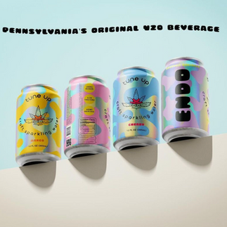 ENDO ™ CBD:THC Seltzers