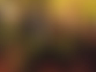 Bartόdo Temporary Bar