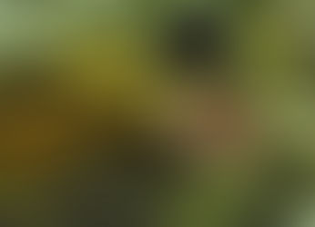 'Ενα ονειρεμένο Κάστρο στο Πισσούρι!