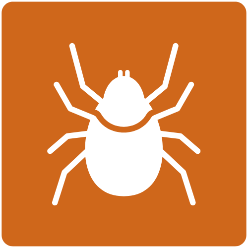 Vector-borne illness icon
