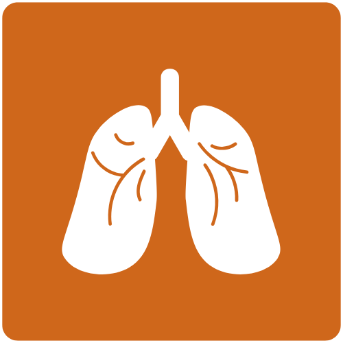 Lung health icon.png