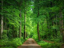 Auf dem Weg in eine emissionsfreie Zukunft