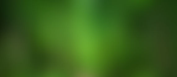 Auf dem Weg in eine emissionsfreie Zukunft