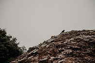 Entyse and BriJoRae PCH Catch Up-42.jpg
