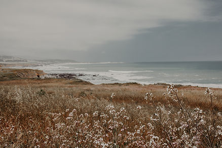 Entyse and BriJoRae' Productions California Photographer Pacific Coast Highway-205.jpg