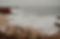 Entyse and BriJoRae' Productions California Photographer Pacific Coast Highway-167.jpg
