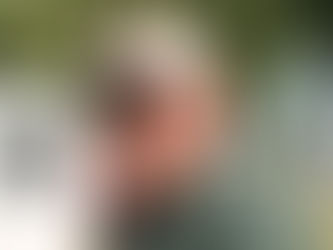 Praca w renomowanej stajni we Francji