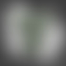 252 (Updated) Do you prefer sweet or savoury?