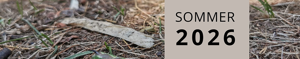 Abenteuer Wald - Auf den Spuren.jpg