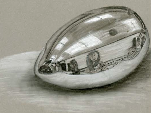 Silver Egg
