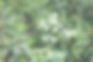 accompagnement holistique hypnose somatique psychocorporel montréal en ligne thérapie stress anxiété douleur deuil émotion épuisement confiance sens