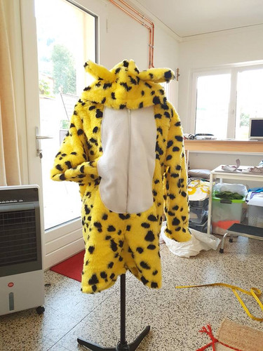 Costume di carnevale 