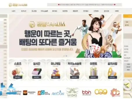 먹튀사이트 라움 RAUM 먹튀정보 공유