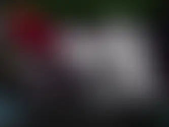 스타월드 STARWORLD 토토사이트 정보 공유