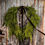 Thumbnail: Natural Cedar Wreath