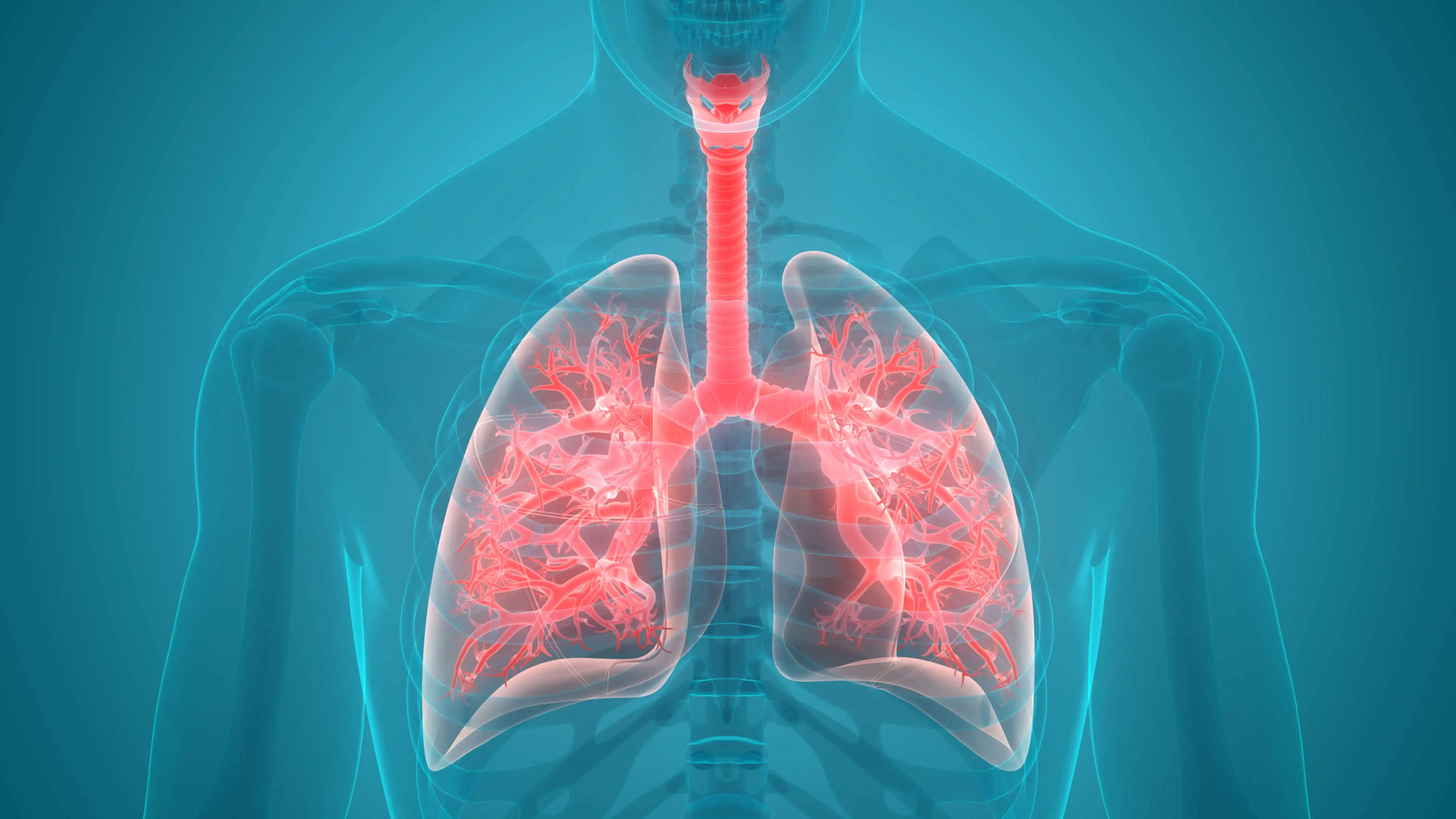 FCW - Pulmonary Conditions.webp